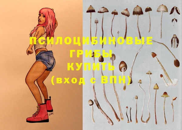 таблы Корсаков